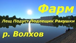 Фарм на Волхове. Русская рыбалка 4