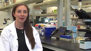 Q&A with neurosurgeon Dr. Gelareh Zadeh on the latest in Glioblastoma research