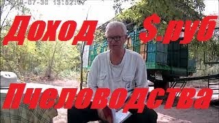 Сколько я заработал на пчёлах в 2019г.Можно ли жить от пчеловодства.Доход от пасеки в сезон.
