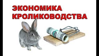 ЭКОНОМИКА КРОЛИКОВОДСТВА