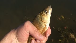 Ловушка для рыбы 2. Fishing trap.