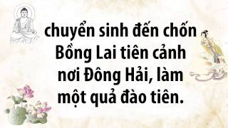 Chuyện Luân Hồi Tâm Nguyện Người Cá ! (part 1)