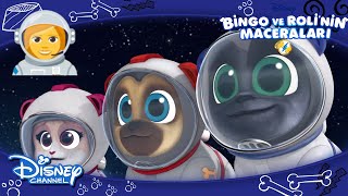 ???BİZİMKİLER UZAYDA ??? | Bingo ve Roli'nin Maceraları | Disney Channel Türkiye