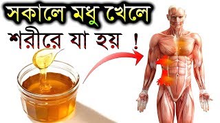 সকালে মধু খাওয়ার উপকারিতা জানলে অবশ্যই খাবেন || Amazing Bangla Health Tips