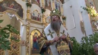 Владыка Лука об этнофилетизме и национализме в Церкви