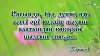 хадисы "Хикмет" студиясы ұсынады: Пайғамбар (с.ғ.с.) хадистері -"Тақуалық"