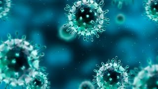 Ученые обнаружили тысячи новых вирусов, неизвестных науке