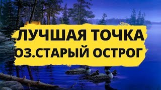 Лучшая точка на оз. Старый Острог.