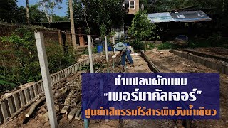 แปลงผักแบบเพอร์มาคัลเจอร์(permaculture) -ทีมงานศูนย์กสิกรรมไร้สารพิษ วังน้ำเขียว