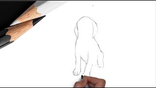 Как нарисовать собаку?