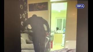 CONVICTED OF ANIMAL ABUSE: Kieran Huelin from Bolton, UK