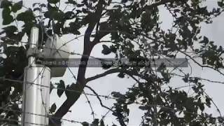 마이크로웨이브 침입감지 시스템 (Microwave Detection System)