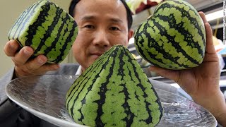 10 Дорогих Продуктов, Которые Вы Можете Найти Только в Японии