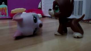 Lps film-best friends-Lola je připravená rodit 6#díl