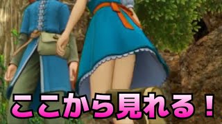 【ドラクエ11】DQ11　エマのパンツ見たすぎて頑張った結果精神が壊れかけたアラサーをご覧ください【パンツ】
