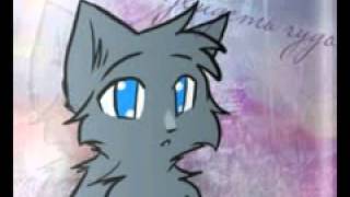 Коты Воители. Белка и Уголёк 10 лет спустя