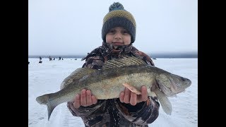Весенний судак 2019  Воткинское вдхр  Оханский район