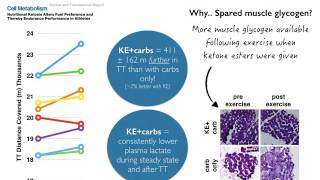 Ketone Esters and Exercise Performance