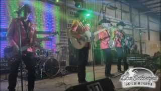 Los Salvajes De Chihuahua - Siempre En Mi Mente 2014