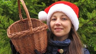 Грибы в Подмосковье - Открыли грибной сезон в Январе 2020, собираем в лесу зимние съедобные грибы