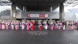 「萬の民の阿波おどり」ぞめきラインダンス＆すだちくん