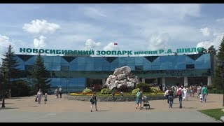 НОВОСИБИРСКИЙ ЗООПАРК 2019/NOVOSIBIRSK ZOO 2019.