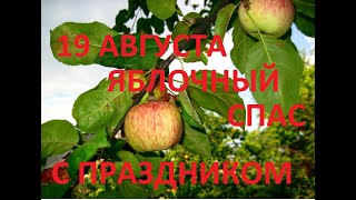 ТАКОГО У НАС НЕ БЫЛО Такое у нас в первый раз