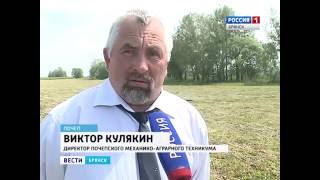 Женская тракторная бригада в Почепском районе