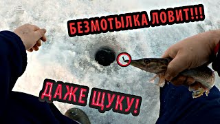 Плотва, Щука, Окунь на Безмотылку! Зимняя Рыбалка 2020. Безмотылка Ловит Даже Щук!