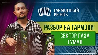 Сектор газа Туман РАЗБОР НА ГАРМОНИ