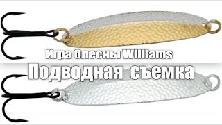 Игра блесны Williams Wabler 14гр. Подводная съемка!