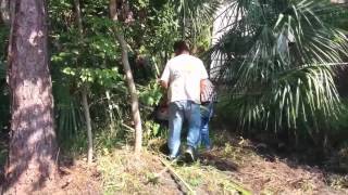 #8 Строим дом в Америке.Сносим дом...Встретил змею..