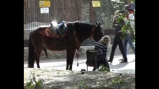 Девушки и лошади.   Girls and horses   ХЗ