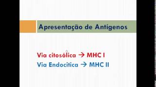 ATIVAÇÃO LINFOCITO T   profbreyner