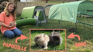 LA MAISON DES LAPINS DE LILI