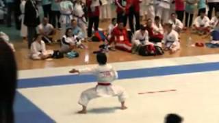 ニーパイポ (第7回糸東流空手道世界選手権大会)