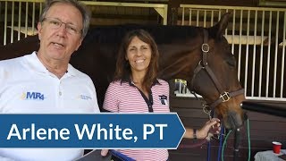 Preventing Injury in Equine Athletes using Super Pulsed Laser Therapy: Arlene White, PT