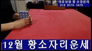 타로 2018 11.13 화요일 (12월의 황소자리종합운세)타로카드 타로방송 타로상담 타로점 부산대타로카드판도라 전화상담 방문상담 해외보이스톡상담