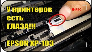 Мигают три индикатора Epson XP-103 или грязный оптоглаз