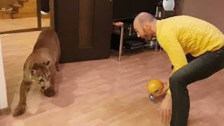 Пума Месси и "зимний арбуз"