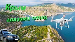 ВЕСЬ КРЫМ глазами птиц.