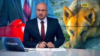 Свідок НТН повний випуск за 19 вересня 2017 року