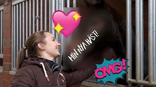 ♘HÄSTVLOGG♘ HÄMTAR HEM MIN NYA HÄST! + första ridpasset ?
