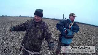 Отчет с охоты на зайца 25.11.2017