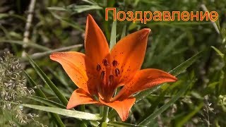 Поздравление для женщины. Розы Лучшее поздравление на Восьмое Марта. Международный женский день