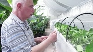 Люди - Анатолій Патій, господар зимового саду