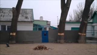 Варвары из посёлка Лиман.Астраханской области...