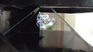 Как сделать Большую 3D Голограмму за 1 день