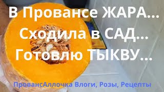 Жара жарой, а кушать ? хочется всегда! Весенняя ТЫКВА в наших тарелках! ?