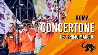 P-Funking Band / Disperato erotico stomp / CONCERTONE / Roma 2014